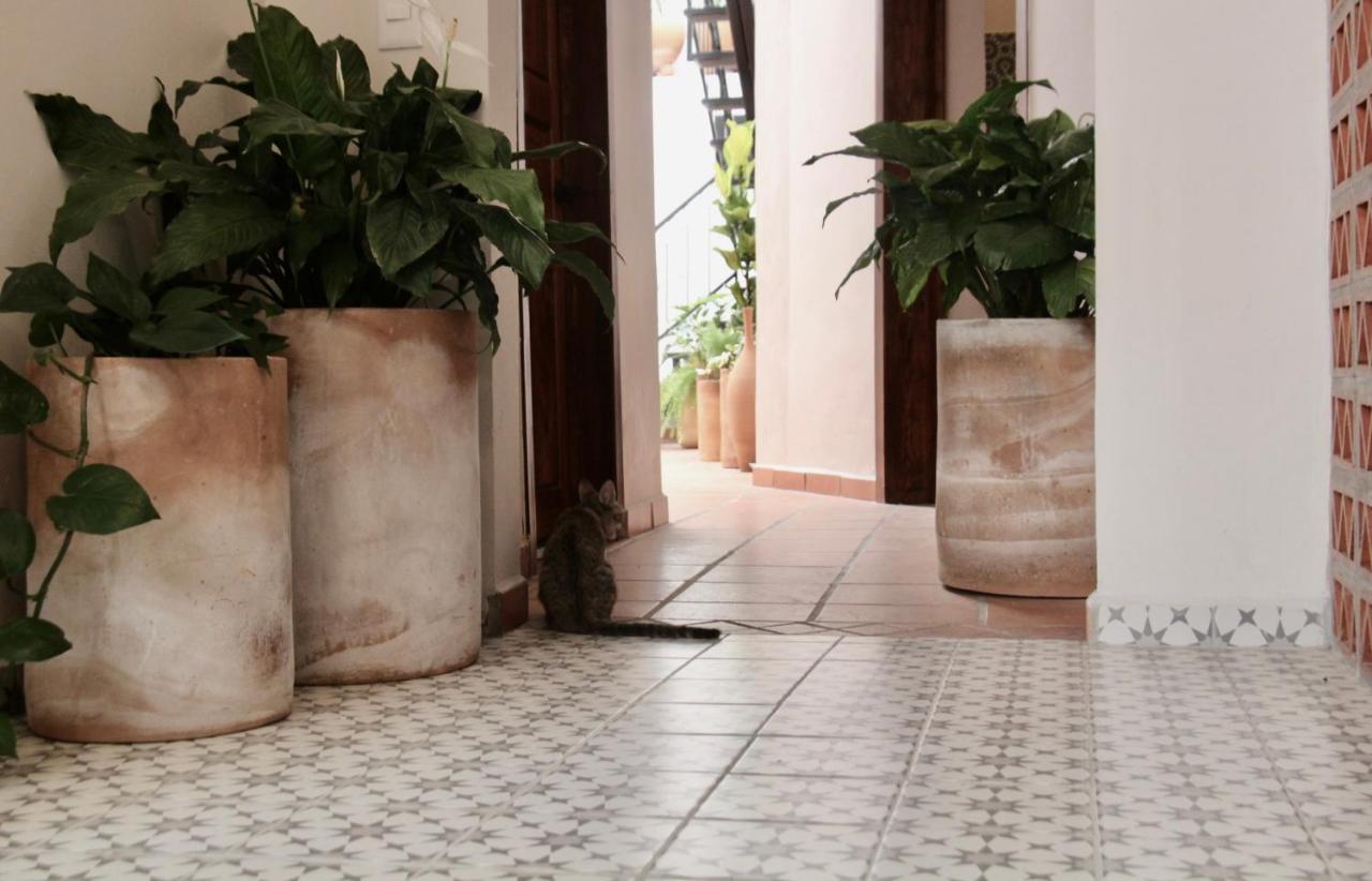 Casa Irake Ξενοδοχείο Γκουανταλαχάρα Εξωτερικό φωτογραφία